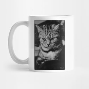 Heera Mug